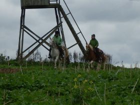 SDC11065.JPG