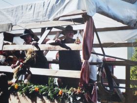 SDC11411.JPG